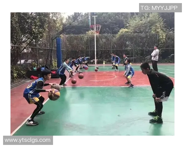 西安篮球队控制打法的深度分析与战术解读